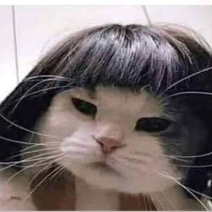 Meet your Posher, Jasmin